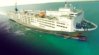 MV Becrux: The World's Largest Livestock Carrier