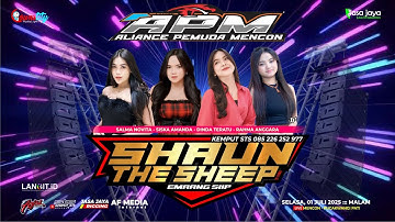 LIVE SHAUN THE SHEEP - HAPPY PARTY ALIANCE PEMUDA MENCON - PUCAKWANGI PATI | COUNSTITY AUDIO