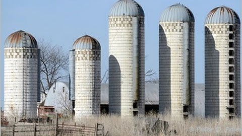 Mobile Test Automation: A Collaborative Strategy