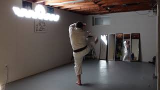 20210102 3 Heian Nidan, Heian Yondan x2, Heian Godan, Kanku Dai x4, Jion, Wankan, Meikyo