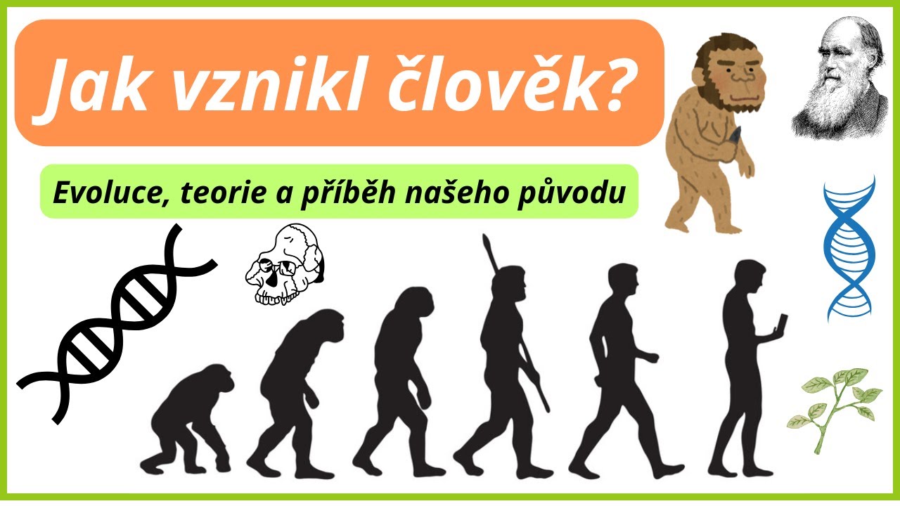 Jak vznikl člověk? Evoluce, teorie a fascinující fakta o Homo sapiens
