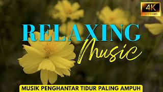 Langsung Terlelap dalam 5 Menit! 😴 Musik Relaksasi Pengantar Tidur Nyenyak Penyembuh Insomnia 4K