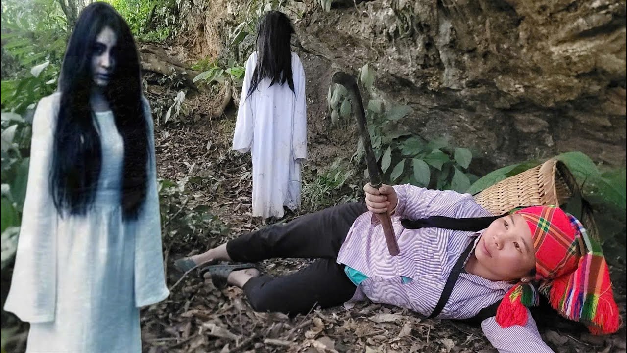 Single mother in danger in the forest - Harvesting ginger to sell ...
