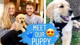 We Got A Puppy Picking Up Our New Baby 8 Week Old Den Retriever