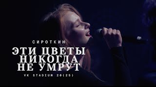 картинка: Сироткин, Marytale – Эти цветы никогда не умрут (Live, VK Stadium 2025)