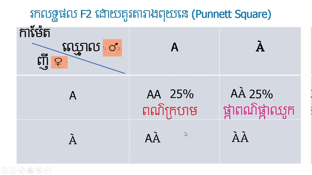 លុបមិនពេញលេញ និងការបង្កាត់តេស្ត (Incomplete dominant and Test cross)