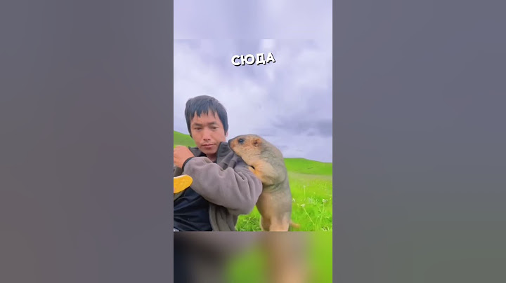 Он нашел нового друга. #shorts