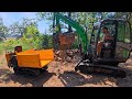 Is This Miniature Dump Truck Really Practical?? 