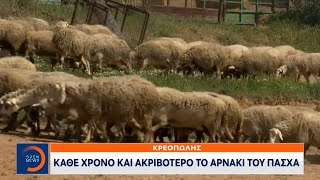 Κάθε χρόνο και ακριβότερο το αρνάκι το Πάσχα | Μεσημεριανό Δελτίο Ειδήσεων 23/04/2024 | OPEN TV Ελληνική - OPEN
