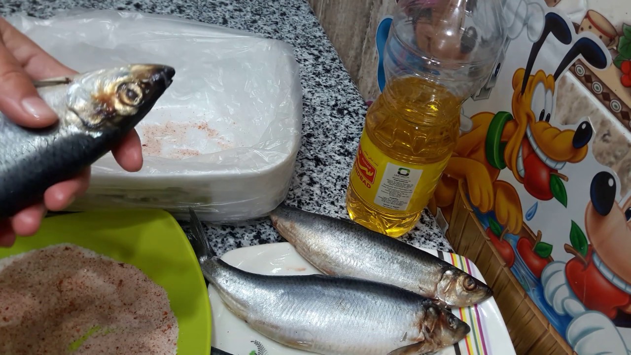 الطريقه الصحيحه لتخليل السردين السريع فى اقل وقت تكلى منه بطريقه امى طعم وريحه روعه