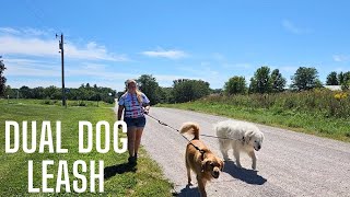 This dual leash is a game changer if you have 2 dogs