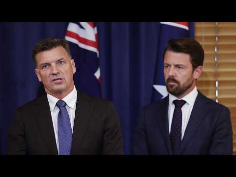 Coalition’s ‘comprehensive’ migration policy to be unlike Labor’s or One Nation’s