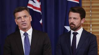 Coalition’s ‘comprehensive’ migration policy to be unlike Labor’s or One Nation’s