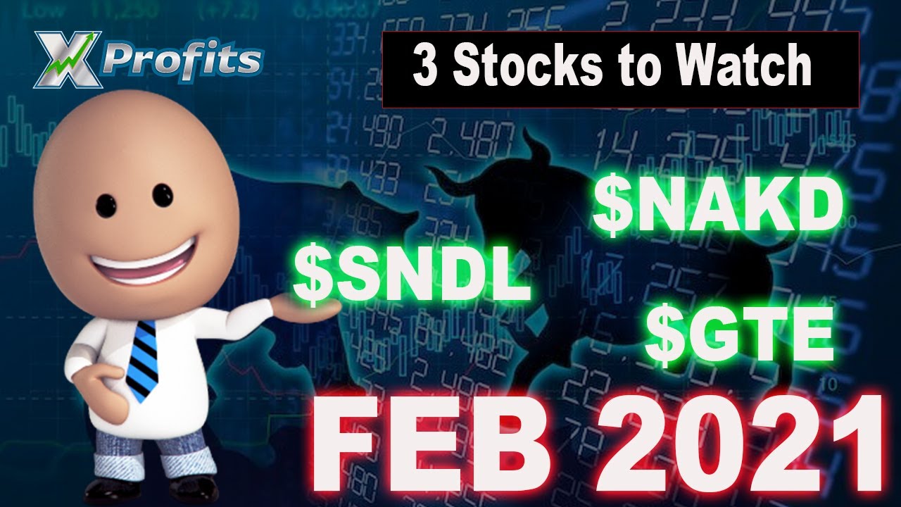 Penny stocks to watch Feb 2021 | $SNDL | $NAKD | $GTE