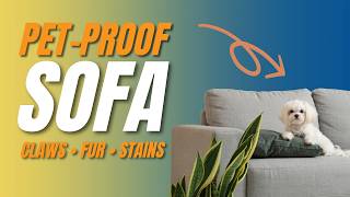 Best Pet Friendly Sofa: Fabrics That Survive Claws and Accidents