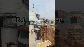 he mere kamli Wale ka sadka 🐦🥰🐦‍⬛ #comedy #trending #funny #paride