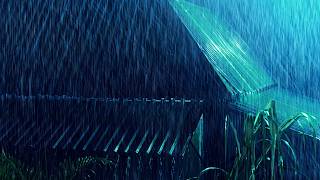 1.5 Hours of Heavy Rain & Distant Thunder | White Noise for Deep Sleep | Relaxing ASMR