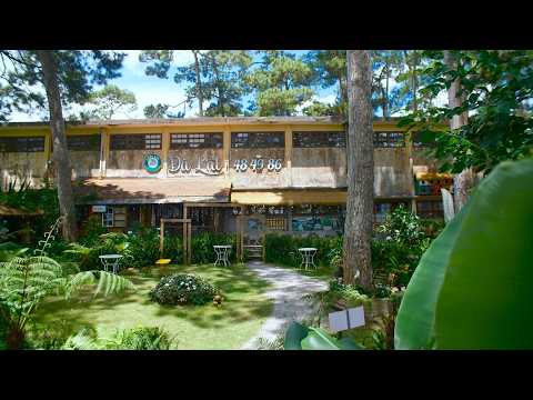 Villa, quán cà phê, và bình yên ở Đà Lạt - Đây là nơi mọi người muốn sống