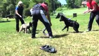 Cessy Majoruv Haj - Obrana - Protection