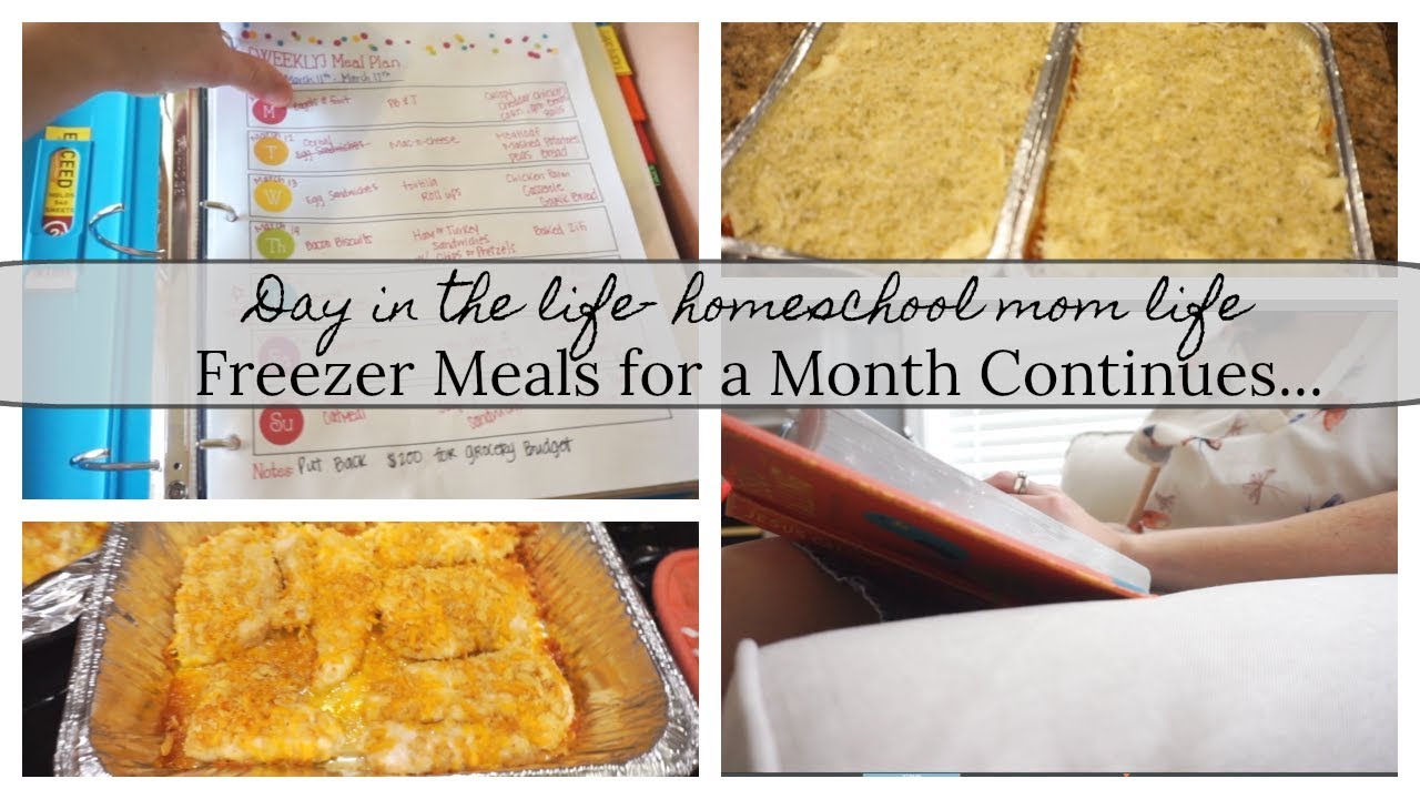 Day in the Life: Freezer Meals for the Month Continues! (March 8-11 ...