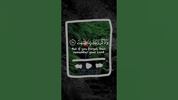 قرآن كريم بصوت القارئ أنس شهاب تلاوة مؤثر ارح قلبك 💚🌿حالة واتس إسلامية /استوري انستغرام