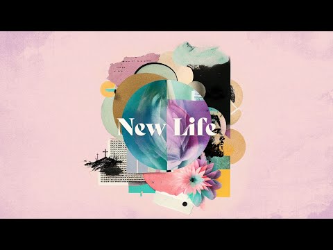 New Life: Week 6