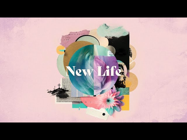 New Life: Week 6