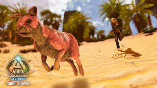 Hunting Roos in the Outback Ep. 7 | ASA Scorched Earth