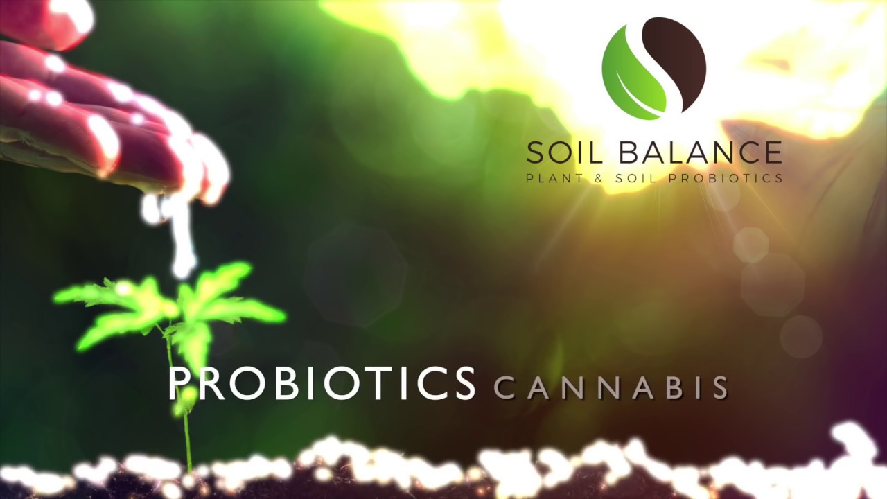 Soil Balance - Hemp Microbe Tea - Cannabis Probiotics