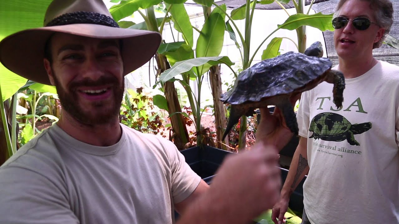 funny video memes Turtle Greenhouse at the TSA : Kamp Kenan S3 Episode 11