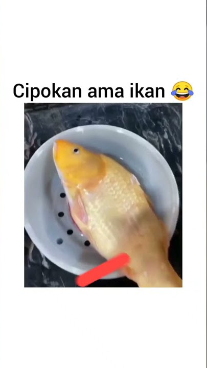 mimpi cipokan #shorts #memelucu #lucu #asupanmemekocak