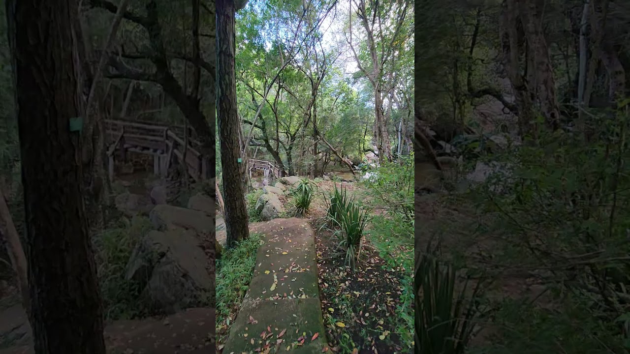 Hiking In the Woods ! Getting lost in the right direction ! Finding Peace ! Free Nature's Therapy !