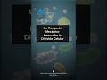 🧬 Un Trinquete Mecánico Reescribe la División Celular #Shorts
