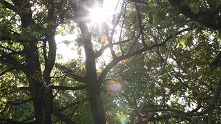 Jestem W Twojej Głębi. Grażyna Klein.