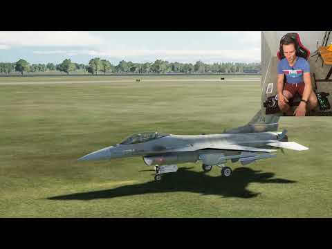 Real Fighter Pilot has EPIC Dogfight in Combat Sim