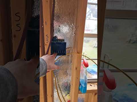 She-Shed WireUp in