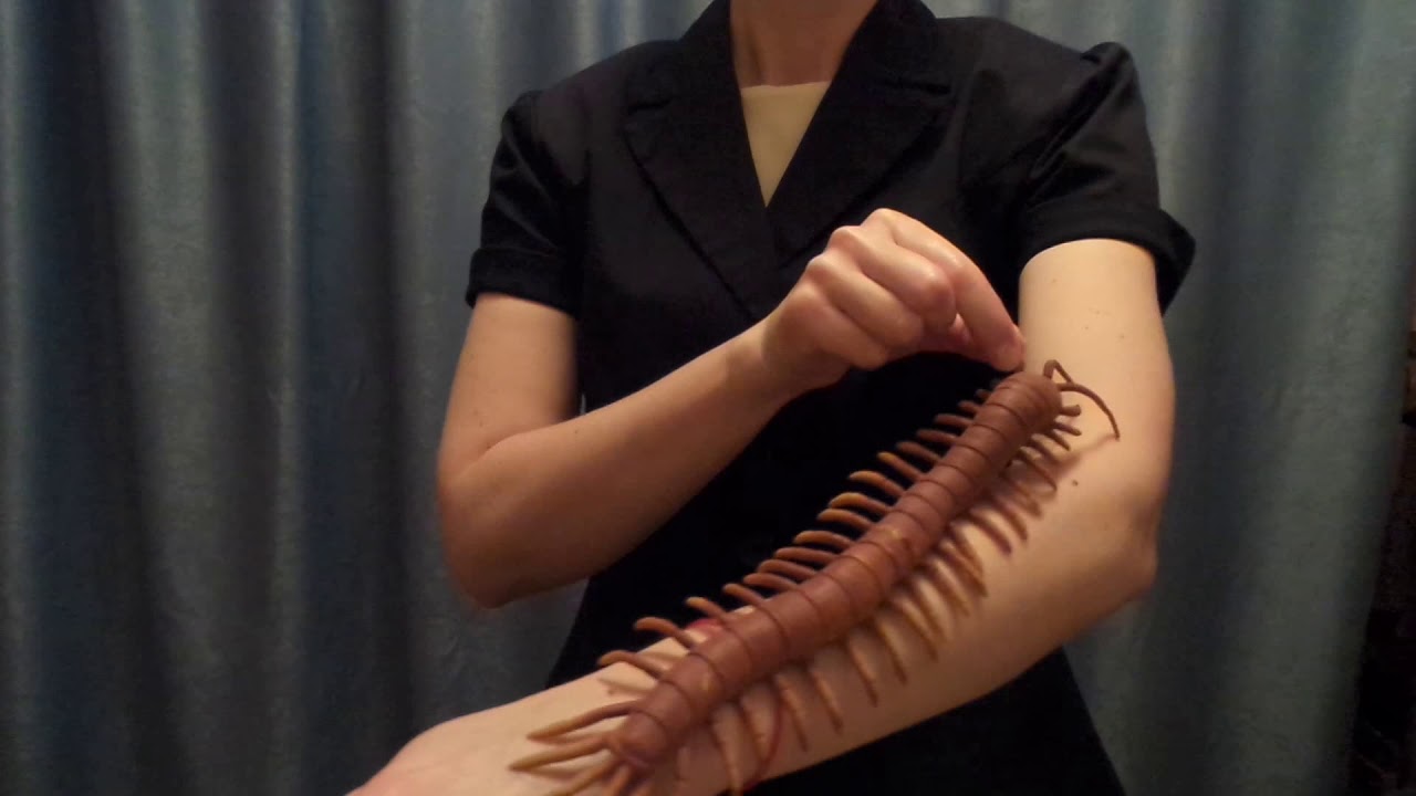 АСМР/Магазинчик Реквизита для АСМР-АСМР Ролевая Игра/Тихий Голос/ASMR Triggers/ASMR Tapping/