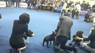 20160327 FCI 9 GROUP