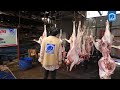 #Alkhidmat has completed the #Qurbani Project for the oppressed #palestinian