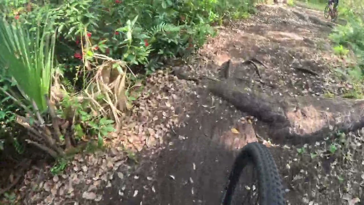 Lake Druid Mountain biking park #4