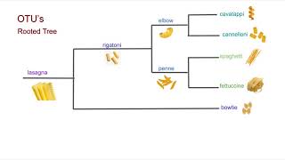 5-1A: Phylogenetic Tree