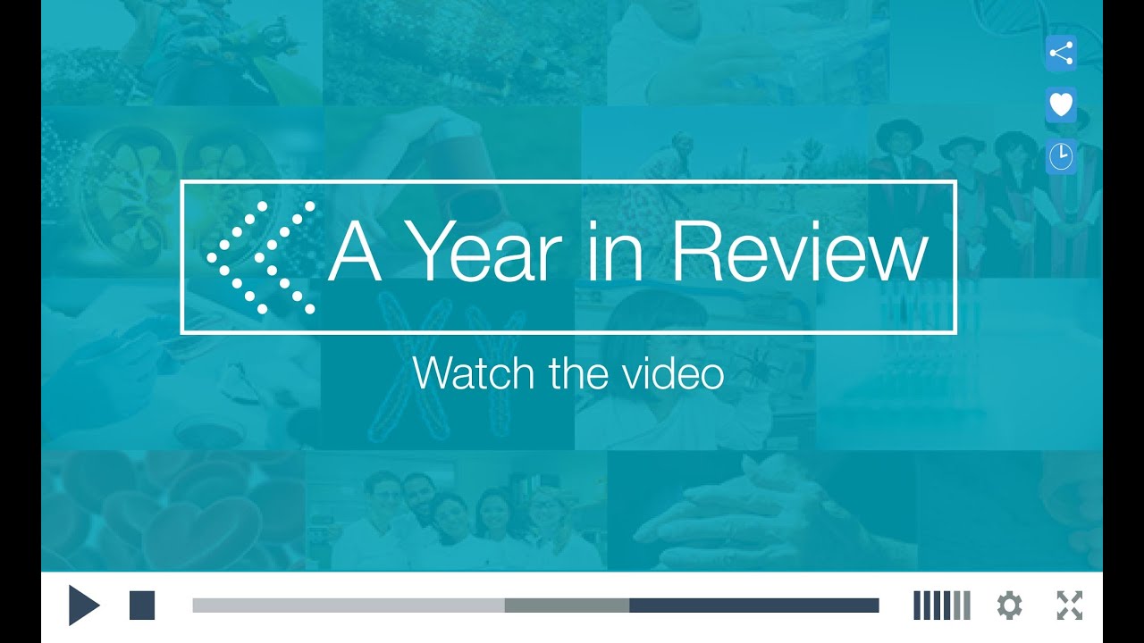 2015: A Year in Review - YouTube