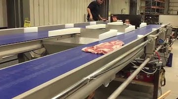 Belly Sortation Conveyor