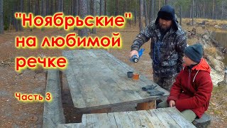 Ноябрьская неделя на любимой реке. Часть 3. Прогулка. Попрыгунчик. Баня по новому.