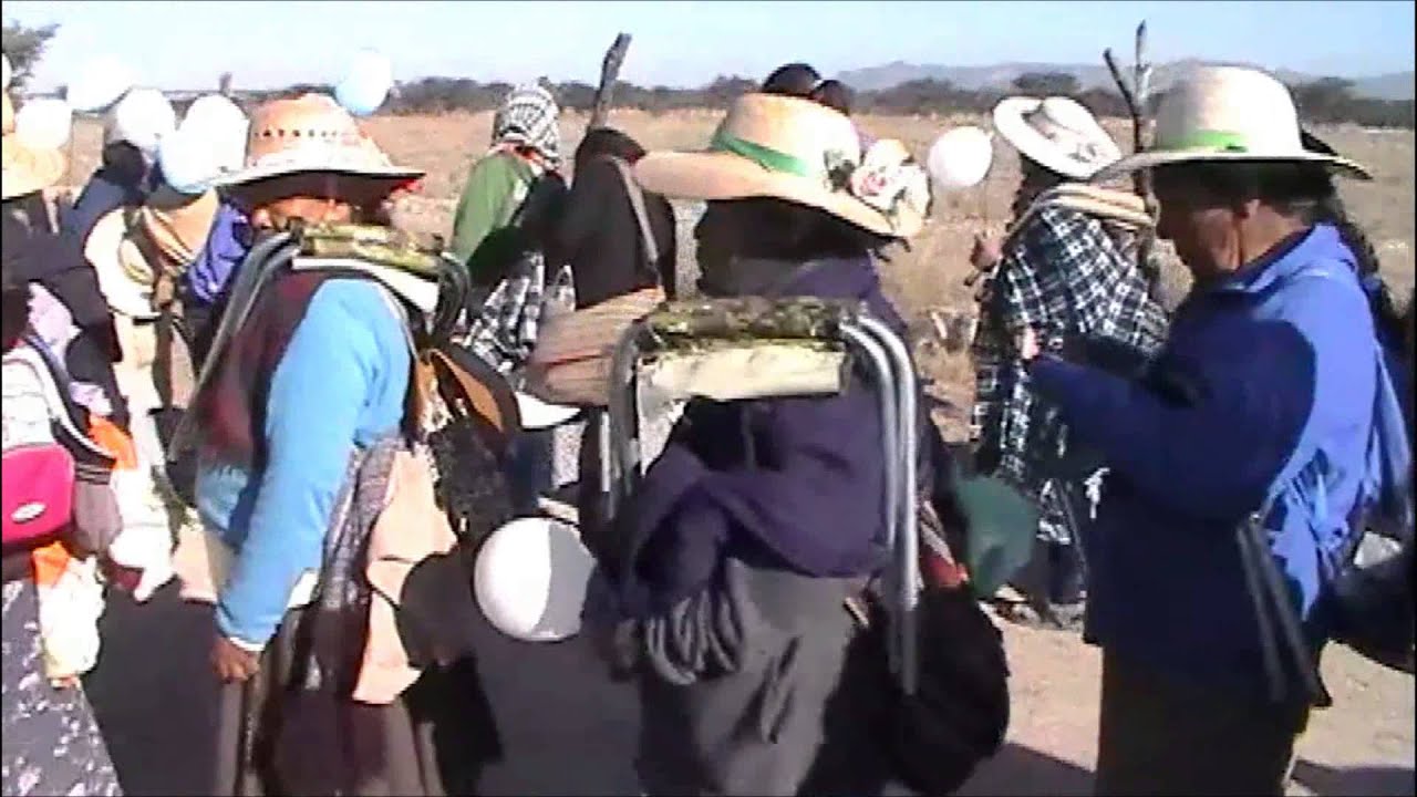 Canción a la Virgen de San Juan de los Lagos 2014