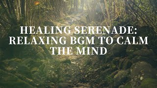 Healing Serenade: Relaxing BGM to calm the mind