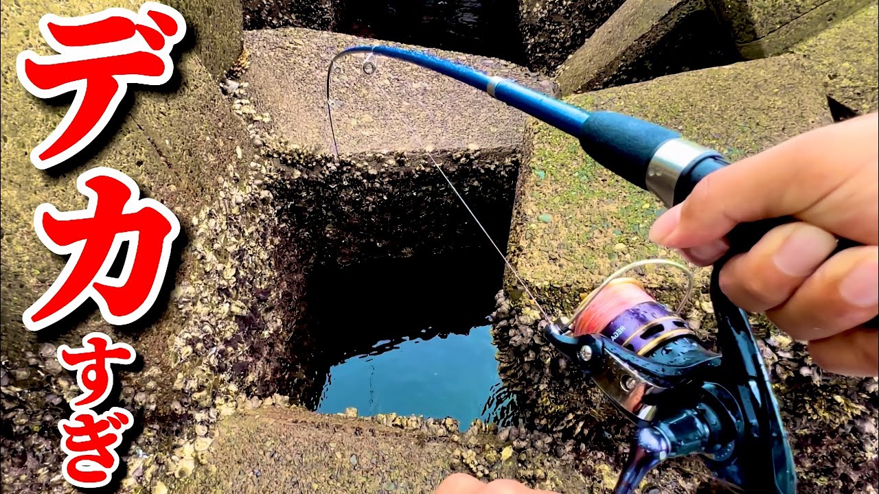 【穴釣り】信じられない化け物が来ました