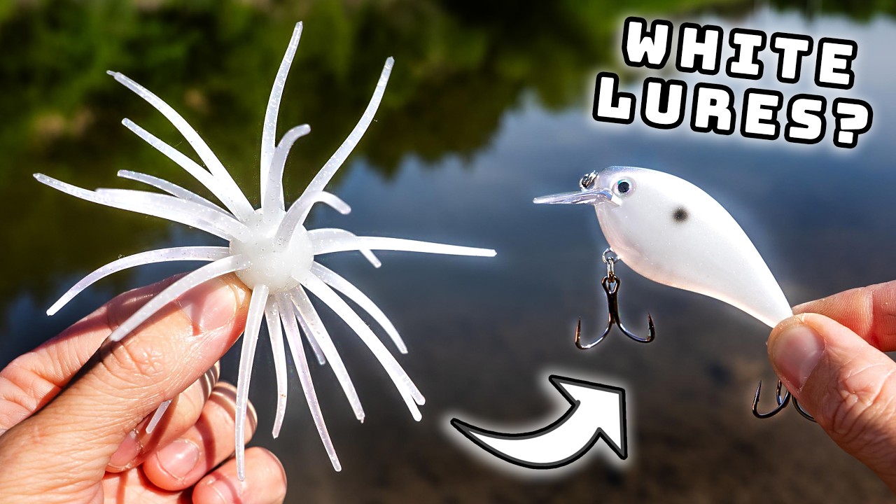 Why WHITE Fishing Lures WORK! (Bass Fishing Masterclass)