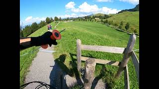 Rigi - Staffel Trail - Alp Holderen - Polen Trail 10