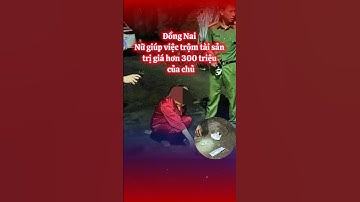 Đồng Nai Nữ giúp việc trộm tài sản trị giá hơn 300 triệu đồng của chủ nhà | Đồng Nai TV